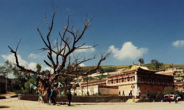 Kumbum Monastery